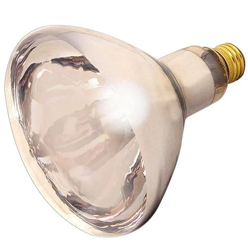 125W Heat Lamp R40