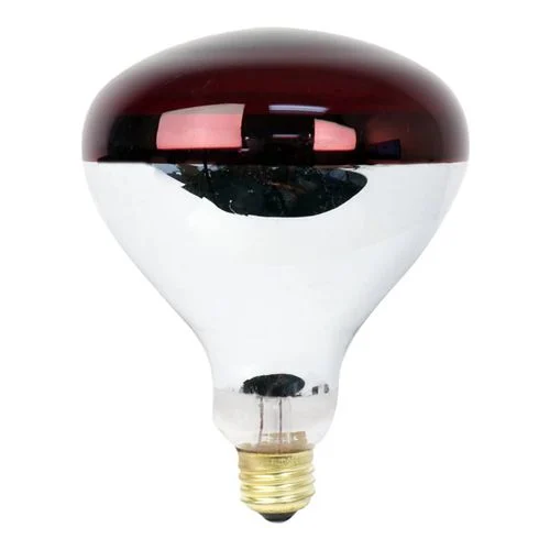 250W Red Heat Lamp R40