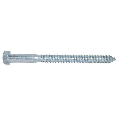 5/8X8 LAG SCREWS HDG