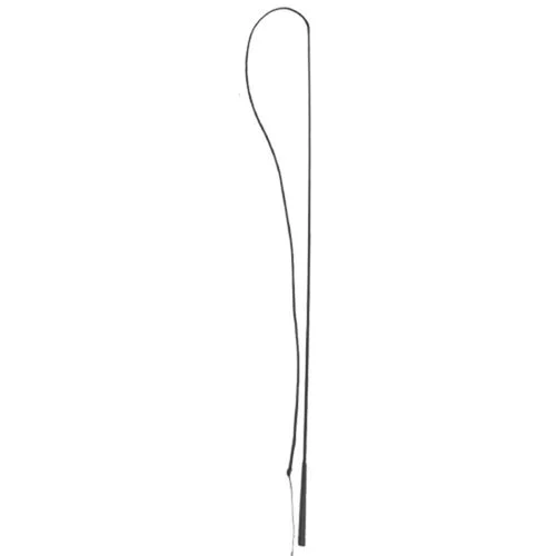 65" LUNGE WHIP