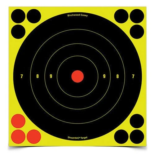 8 In. Bull's-Eye Target, 6 Sheets