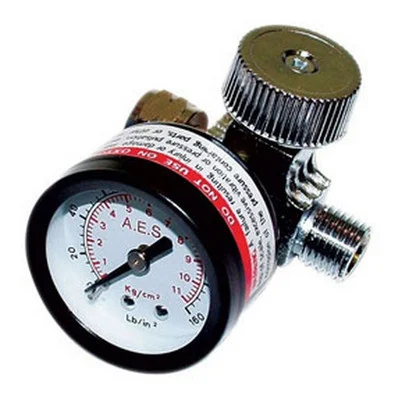 AES Industries Air Regulator with Gauge (882)
