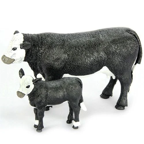 Baldy Cow and Calf