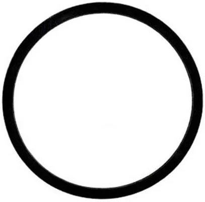 Binks Santoprene Head Gasket for Binks 2-Gallon Pressure Tanks (83-1419)
