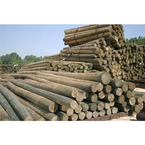CCA Treated Fence Post, 5 to 6 In. Diameter, 16 Ft. Tall