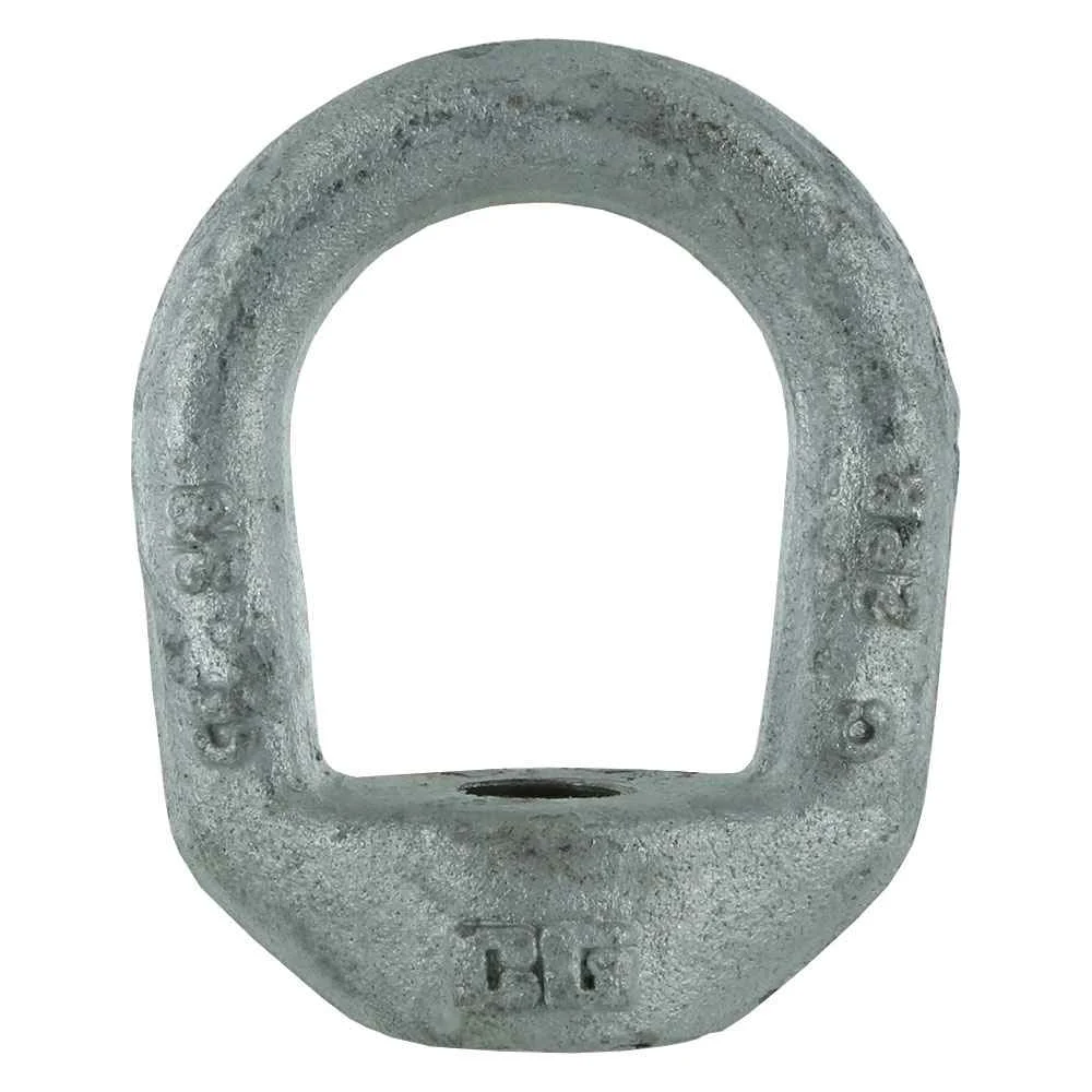 Crosby 2" Galvanized Eye Nut - G-400