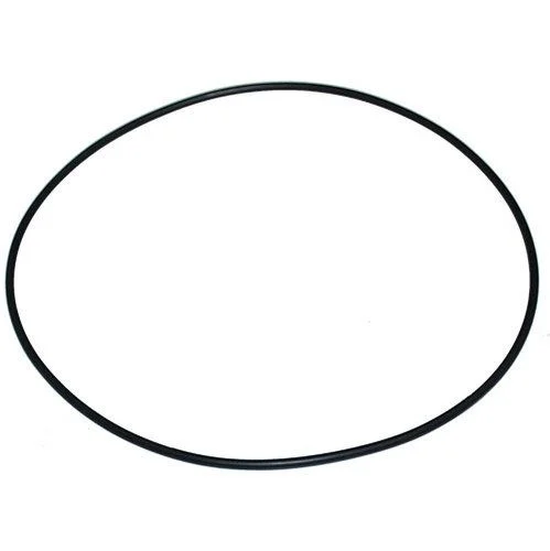 Ferroni O-Ring for ML125 Pump