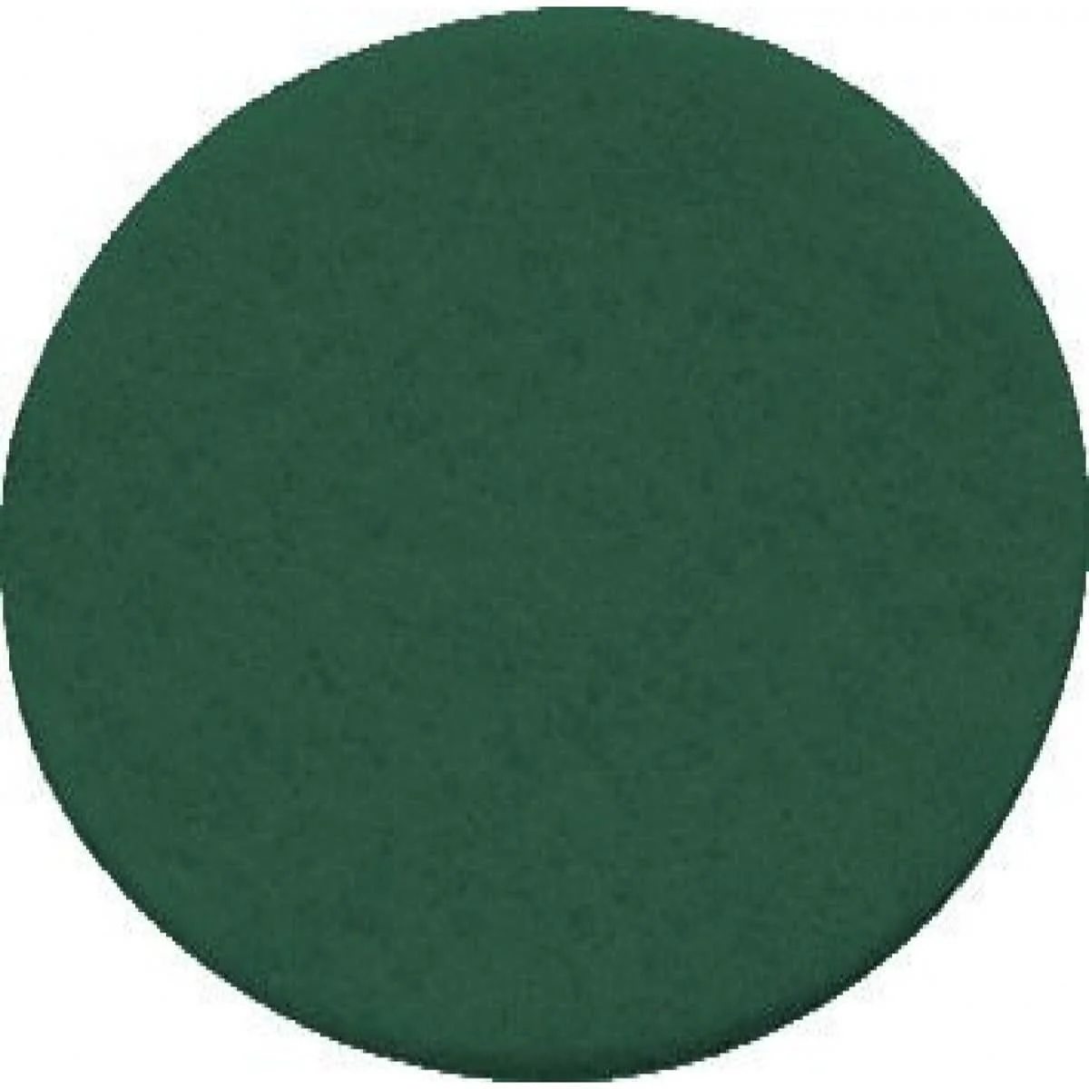 Festool 496508 Vlies, Green for 150 mm (6") Sanders, 10 Pack