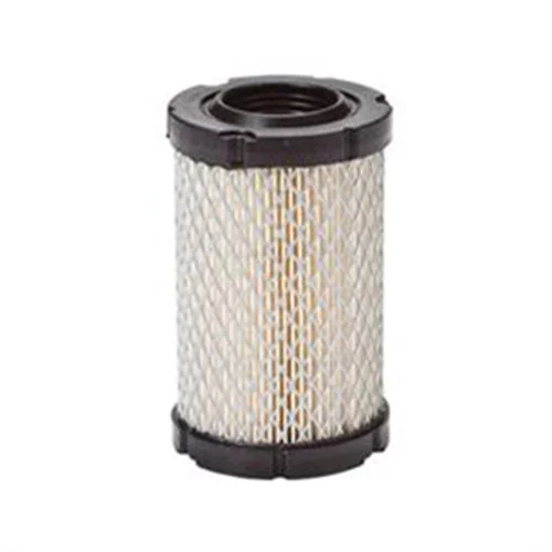 Filter for Briggs & Stratton, 30-851