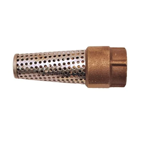 Flotec TC2503LF 1" Brass and Stainless Steel Foot Valve