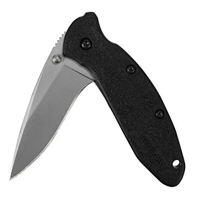 Kershaw 2.25" Scallion Pocket Knife (1620)