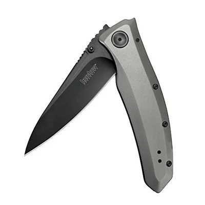 Kershaw Grey 3.7" Stainless Steel Blade Pocket Knife (2200)