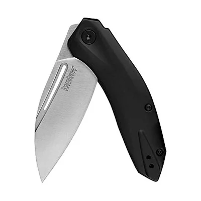 Kershaw Turismo Assisted Flipper Knife (5505)