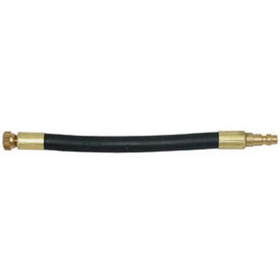 Lang Tools Small Schrader Hose Assembly w/ Quick Coupler Plug (71319)