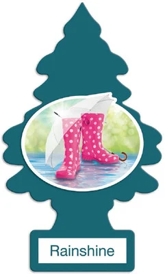 Little Trees U6P-60249 Air Car Freshener Traditional Rainshine, 6-Pack