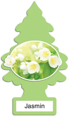 Little Trees U6P-60433 Air Car Freshener Traditional Jasmin, 6-Pack