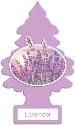 Little Trees U6P-60435 Air Car Freshener Traditional Lavender, 6-Pack