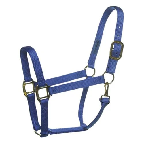 Nylon Horse Halter, Blue