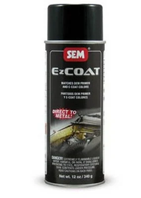 SEM Paints EZ Coat Tan, 16oz Aerosol (62253)