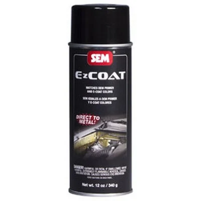 SEM Paints EZ Coat White, 16oz Aerosol (62273)