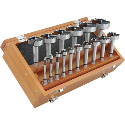 Shop Fox 16 Piece Forstner Bit Set Hex Shank High Carbon Steel Storage Case (D3573)