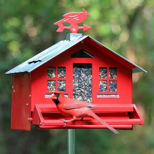 Squirrel-Be-GoneWild Bird Feeder