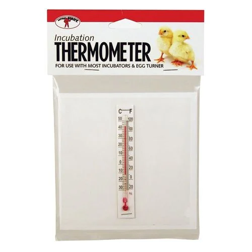 Thermometer Kit