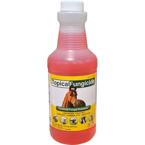 TOPICAL FUNGICIDE SPRAY 16OZ