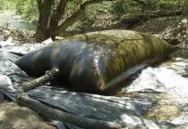 Wetland Bags